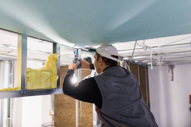Best Cellulose Insulation in Northview, MI