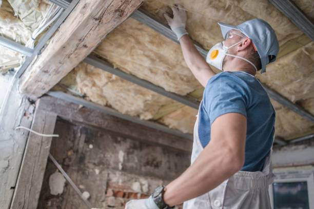 Types of Insulation We Offer in Northview, MI