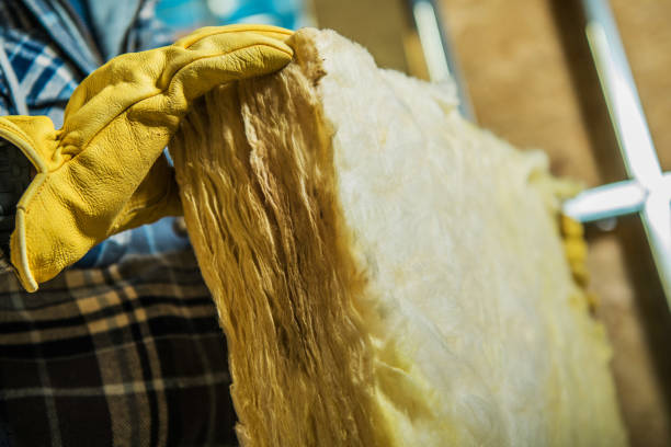 Best Eco-Friendly Insulation in Northview, MI
